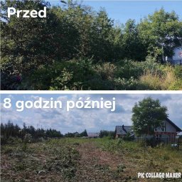 KASKAR Pecura Tomasz - Porównanie terenu przed i po wycince: gęsta roślinność przed, uporządkowany teren z pojedynczym drzewem i widocznymi domami w tle po wycince, wykonane w ciągu 8 godzin.
