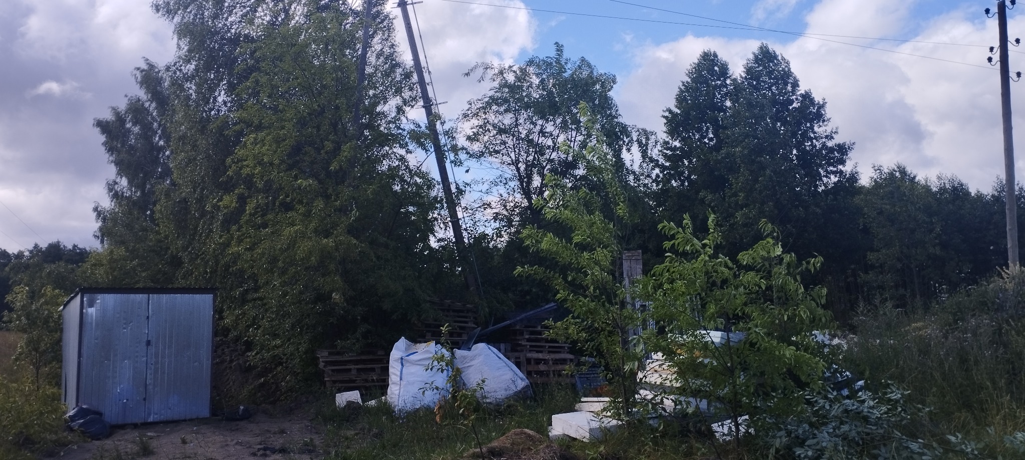 Przygotowanie do wycinki drzew: teren z workami na odpady, stertą palet i blaszakiem w tle, widoczne drzewa i słup elektryczny.