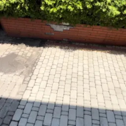 Ułożona kostka brukowa w odcieniach szarości, częściowo zacieniona, sąsiadująca z ceglanym murem, nad którym rośnie gęsty, zielony żywopłot.