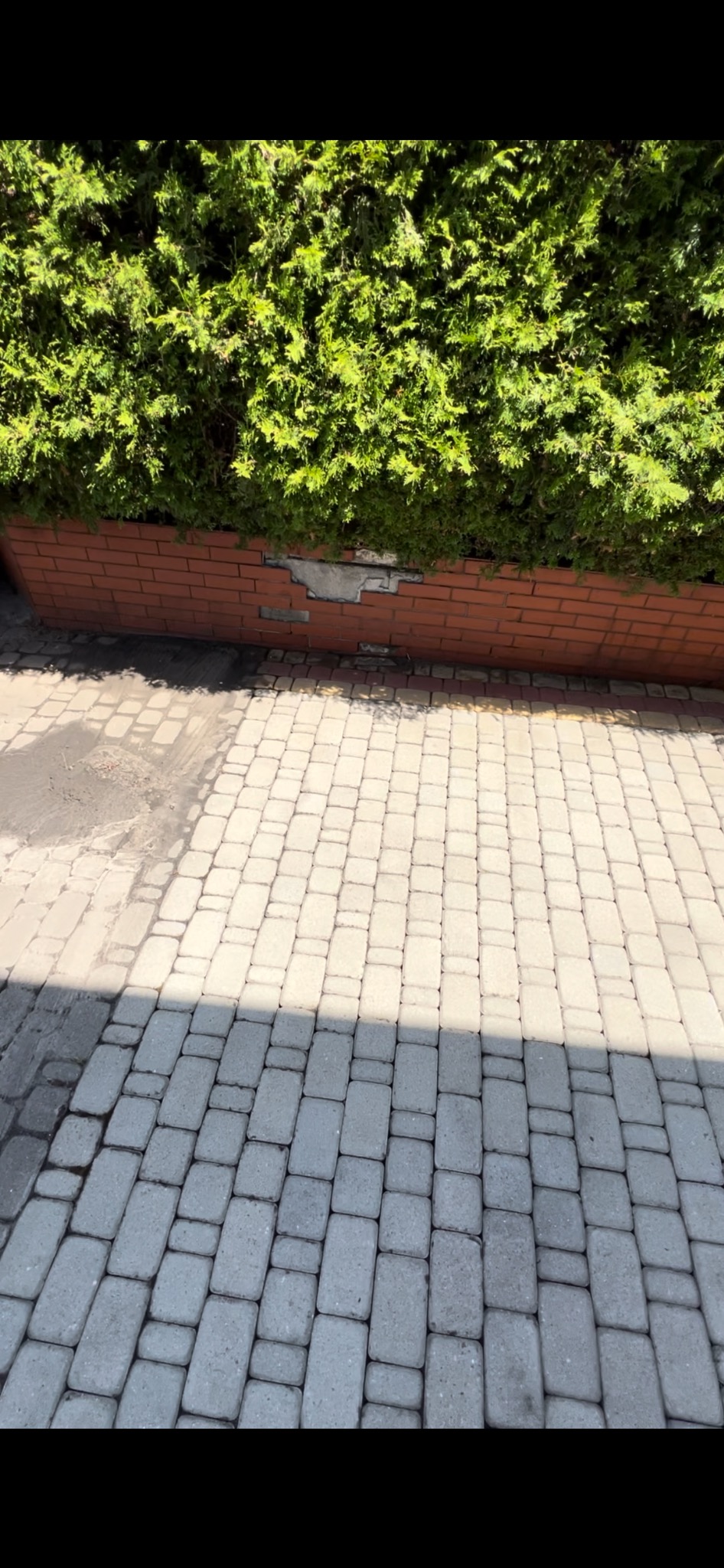 Ułożona kostka brukowa w odcieniach szarości, częściowo zacieniona, sąsiadująca z ceglanym murem, nad którym rośnie gęsty, zielony żywopłot.