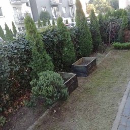 Łukasz Leśniewicz Ogrodnictwo - Ogród po koszeniu trawy, widoczne strzyżone tuje, obrzeża z kostki, dwa drewniane kwietniki i worek z odpadami ogrodowymi, trawa z resztkami pokosu.