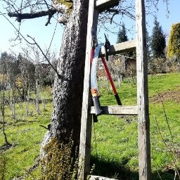 Pielęgnacja ogrodów Wrocław 1