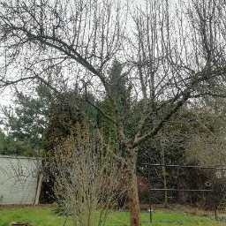 Pielęgnacja ogrodów Wrocław 2