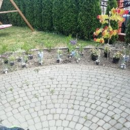 Pielęgnacja ogrodów Wrocław 4