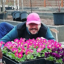 Łukasz Leśniewicz Ogrodnictwo - Uśmiechnięty mężczyzna w okularach i różowej czapce prezentuje tace z kwitnącymi, różowymi prymulkami i fioletowymi bratkami w czarnych doniczkach na tle szkółki roślin.