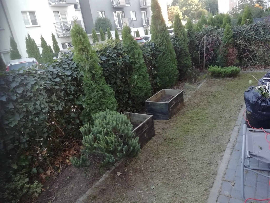 Ogród po koszeniu trawy, widoczne strzyżone tuje, obrzeża z kostki, dwa drewniane kwietniki i worek z odpadami ogrodowymi, trawa z resztkami pokosu.