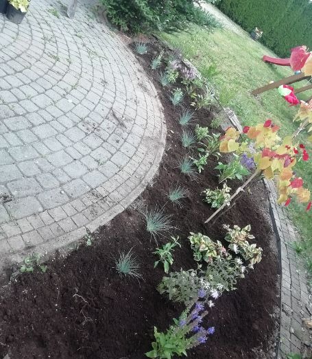 Świeżo założony rabat kwiatowy z różnymi gatunkami roślin, w tym ozdobne trawy i kwitnąca szałwia, obok ścieżki z kostki brukowej, na tle trawnika i elementów placu zabaw.