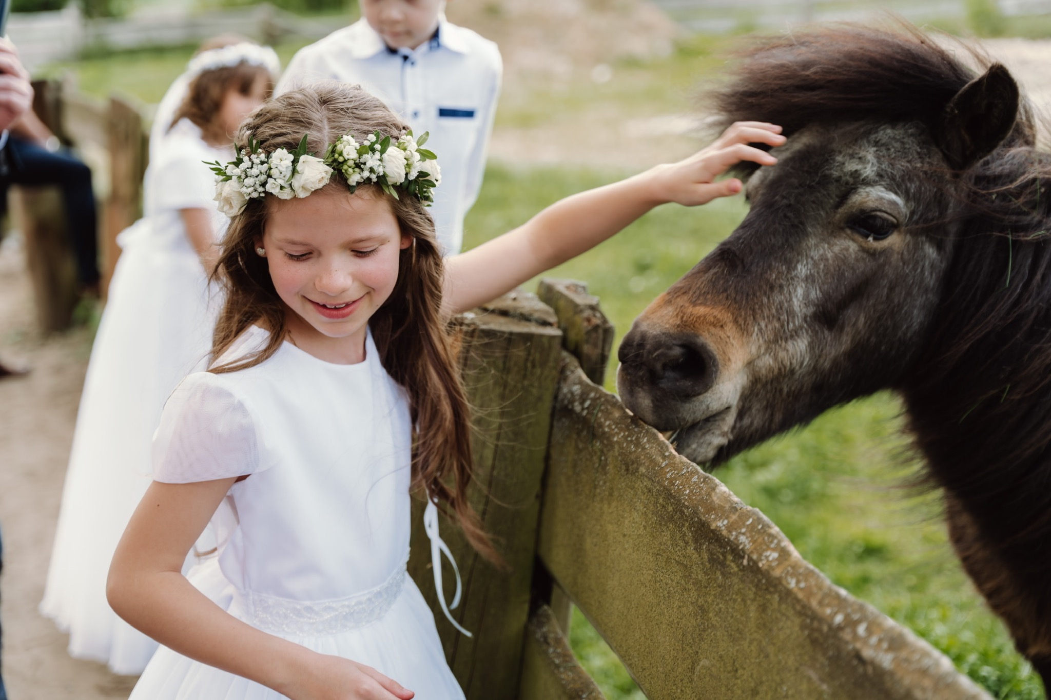 Dziewczynka w białej sukience i wianku głaszcze kuca przy drewnianym płocie podczas uroczystości komunii.