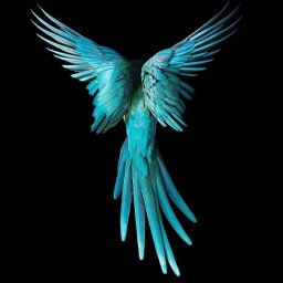 Magdalena Wykowska - Copywriter Warszawa