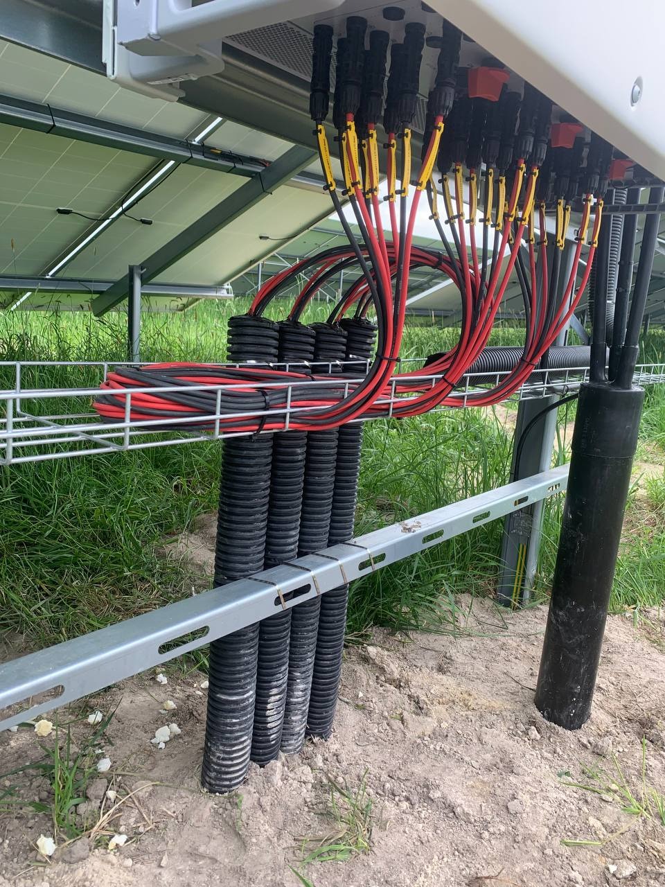 Szczegółowe ujęcie okablowania farmy fotowoltaicznej: czerwono-czarne przewody w korytku, czarne rury karbowane prowadzące do ziemi, widoczne złącza paneli słonecznych, trawa i ziemia w tle.