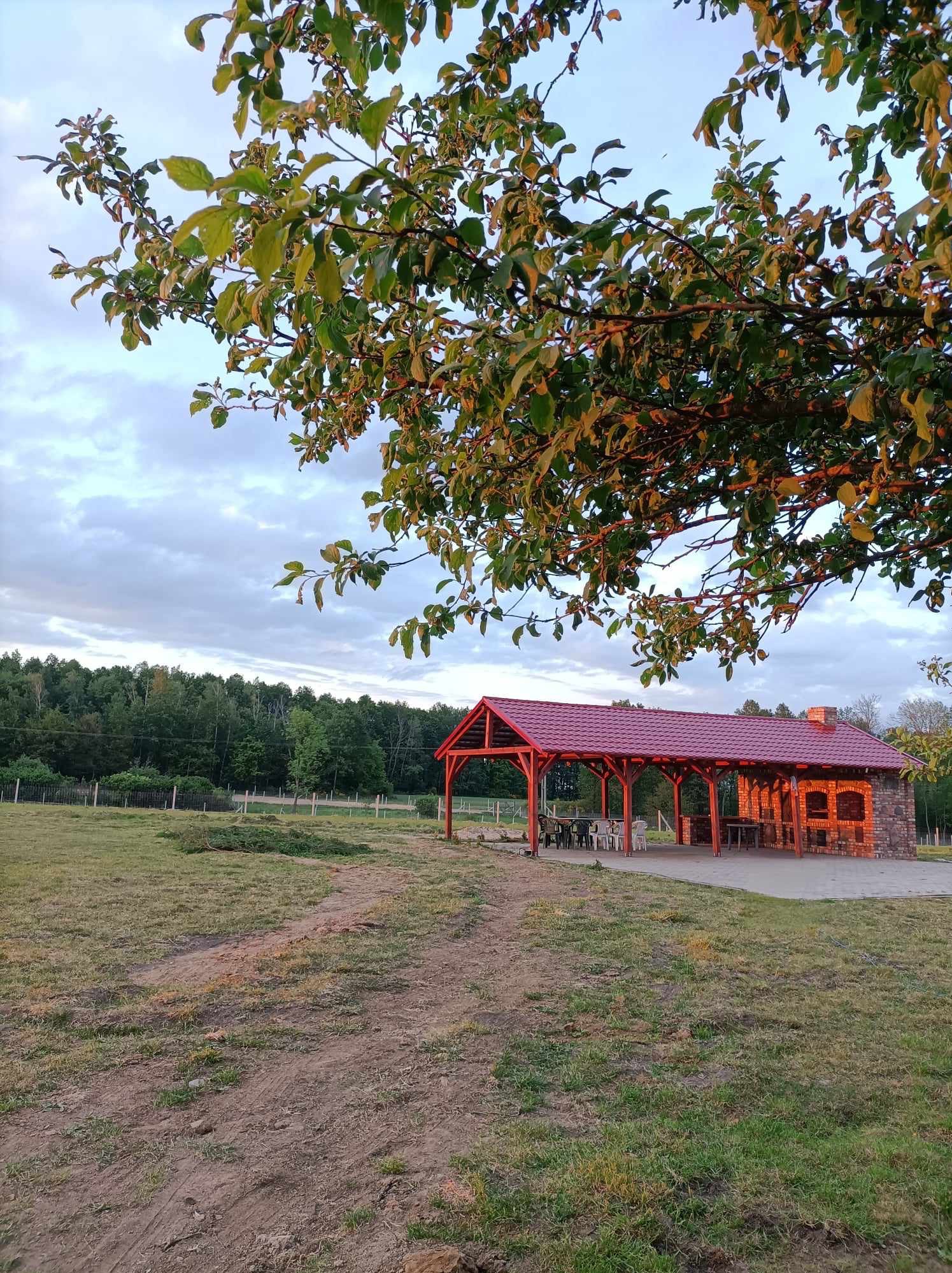 Zadaszona altana z ceglanym grillem i czerwonym dachem, otoczona zielonym trawnikiem i drzewami, oświetlona popołudniowym słońcem.