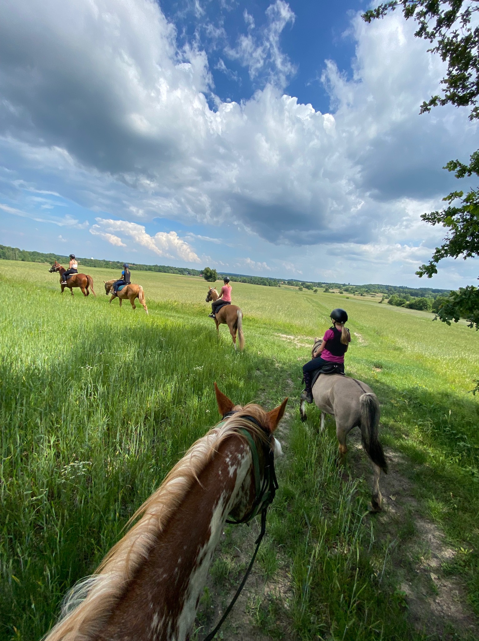 Grupa jeźdźców konnych przemierza zieloną łąkę pod błękitnym niebem z obłokami, widok z perspektywy jeźdźca na pierwszym planie.