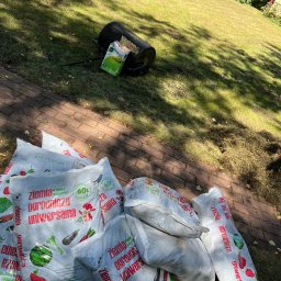 Wycinka drzew Grójec 3