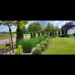 Bitisad - Starannie zaprojektowany i wykonany ogród z różnorodną roślinnością: drzewa formowane, tuje, trawy ozdobne, kwitnące krzewy, rabata wysypana białym kamieniem, równo przystrzyżony trawnik.