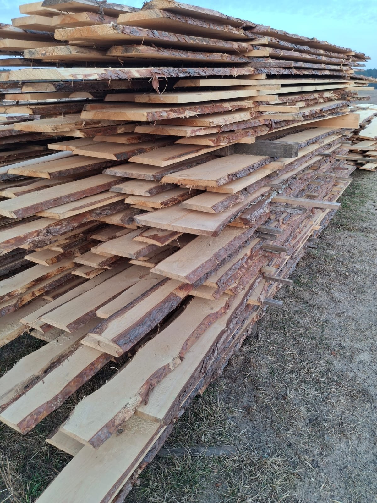 Stos świeżo przetartego drewna z widoczną korą ułożony na zewnątrz, widoczne ślady cięcia.