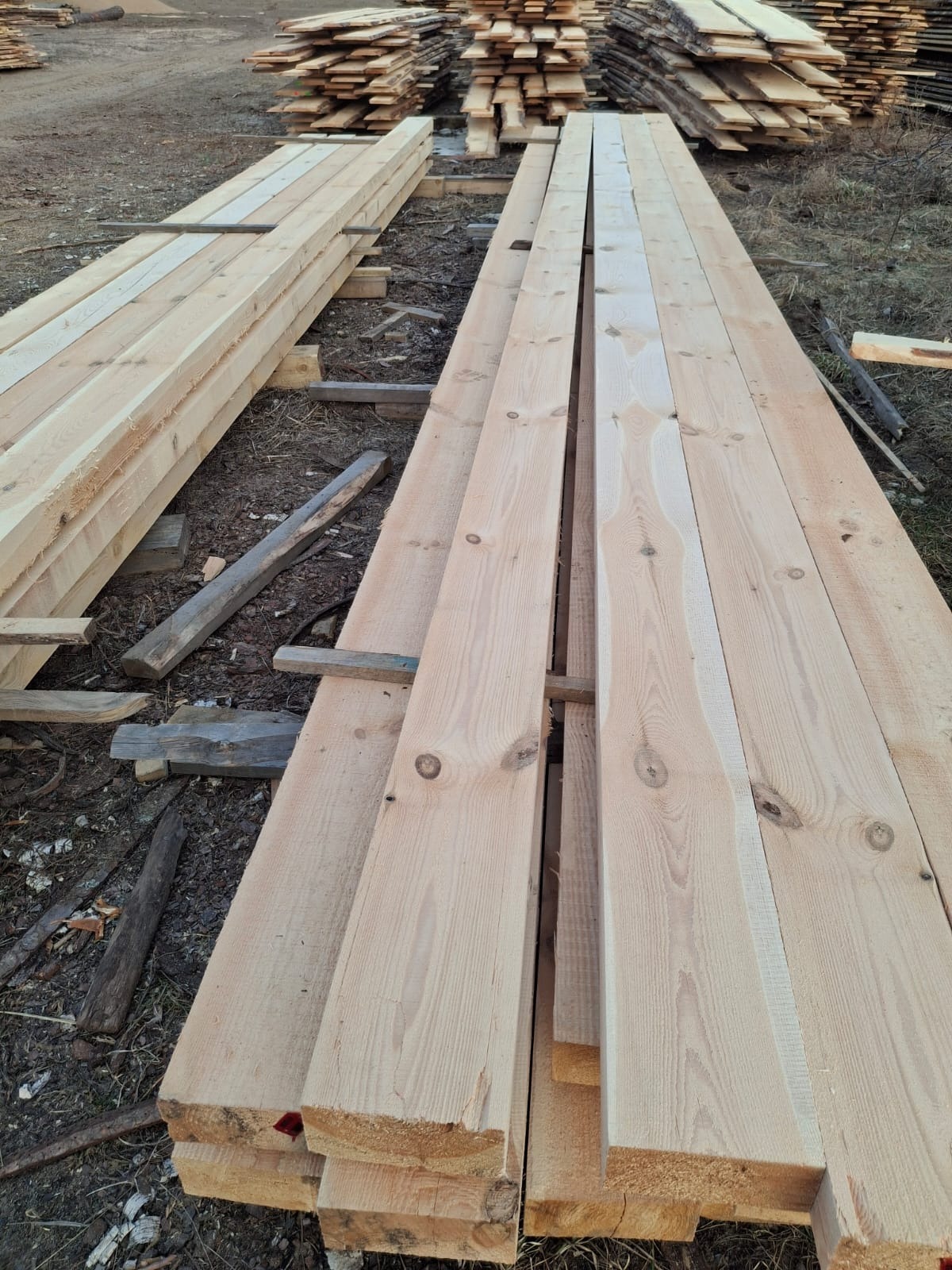 Stosy jasnych, świeżo przetartych desek ułożonych na ziemi, widoczne sęki i struktura drewna, w tle kolejne stosy tarcicy.