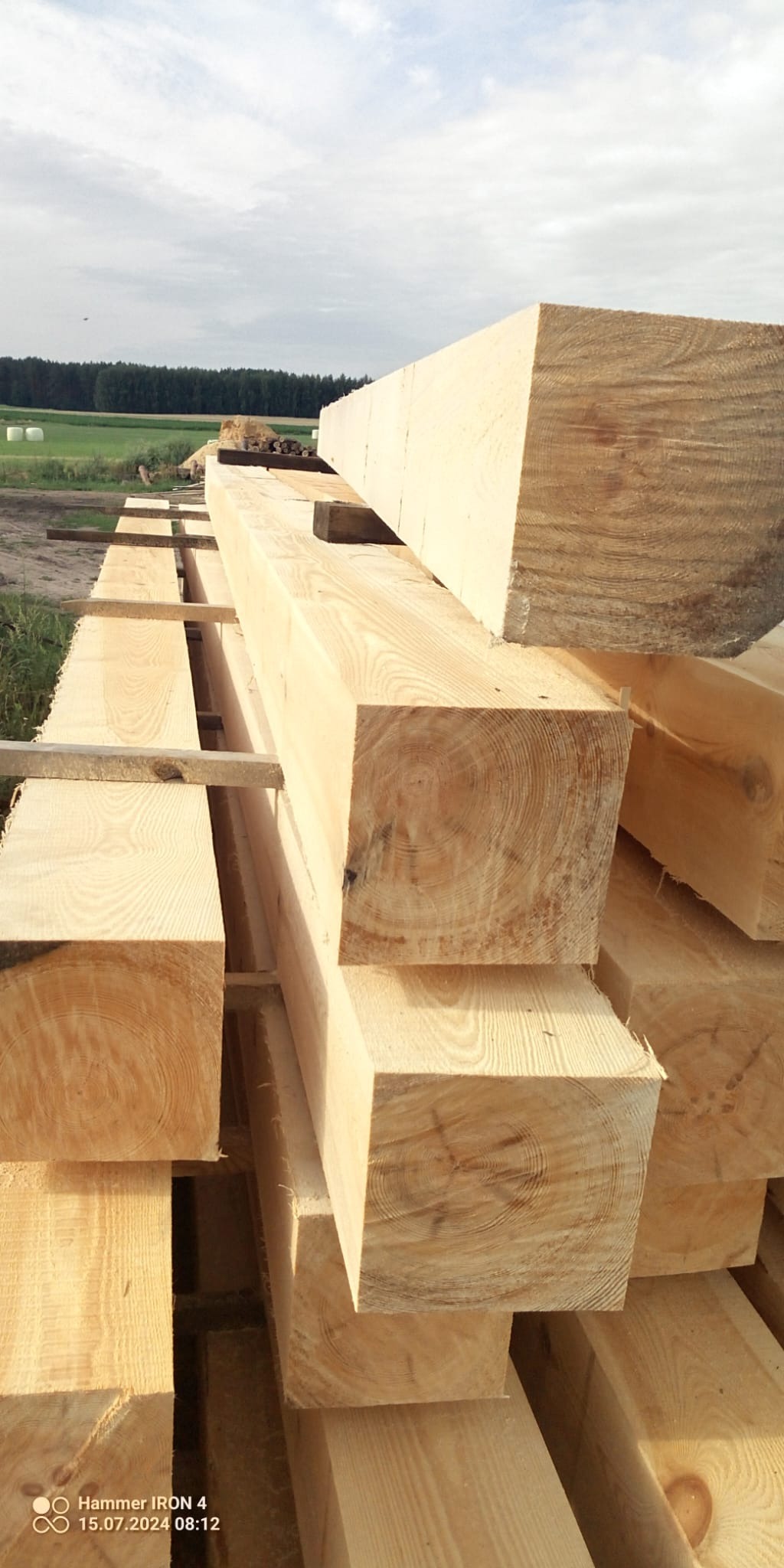 Świeżo przetarte, jasne belki z widocznymi słojami drewna, ułożone w stos w Mieleszki-Kolonia, z polami i lasem w tle.