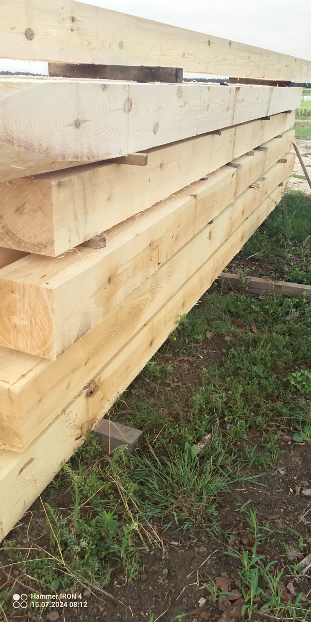 Stos świeżo obrobionych, jasnych belek drewnianych ułożonych na trawie.