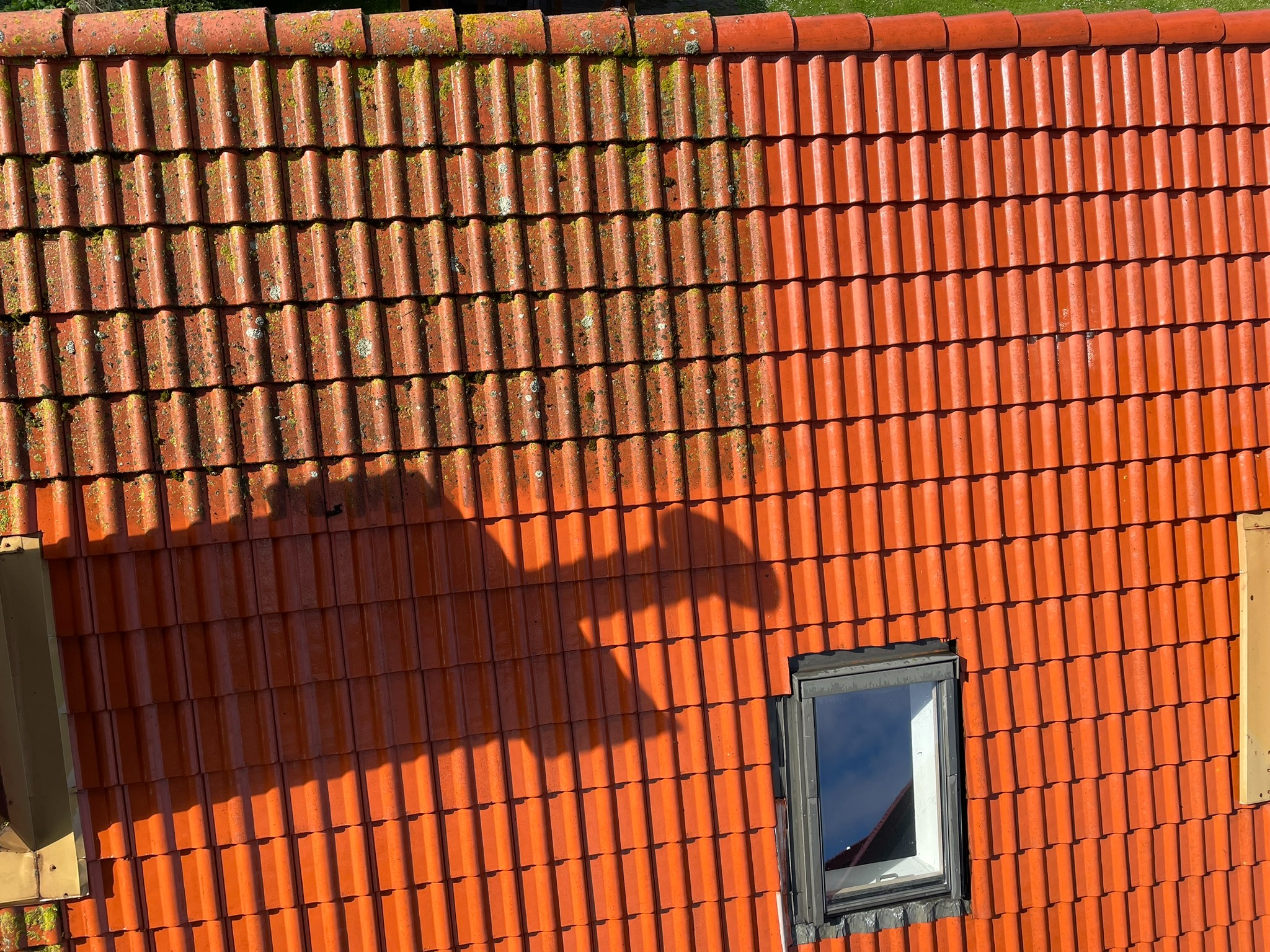Czerwona dachówka ceramiczna częściowo pokryta mchem, z oknem dachowym i cieniem rzucanym przez drzewo.