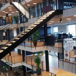 Wielopoziomowe, jasne biuro z drewnianą podłogą, czarnymi schodami i balustradami, licznymi roślinami doniczkowymi i oświetleniem punktowym.