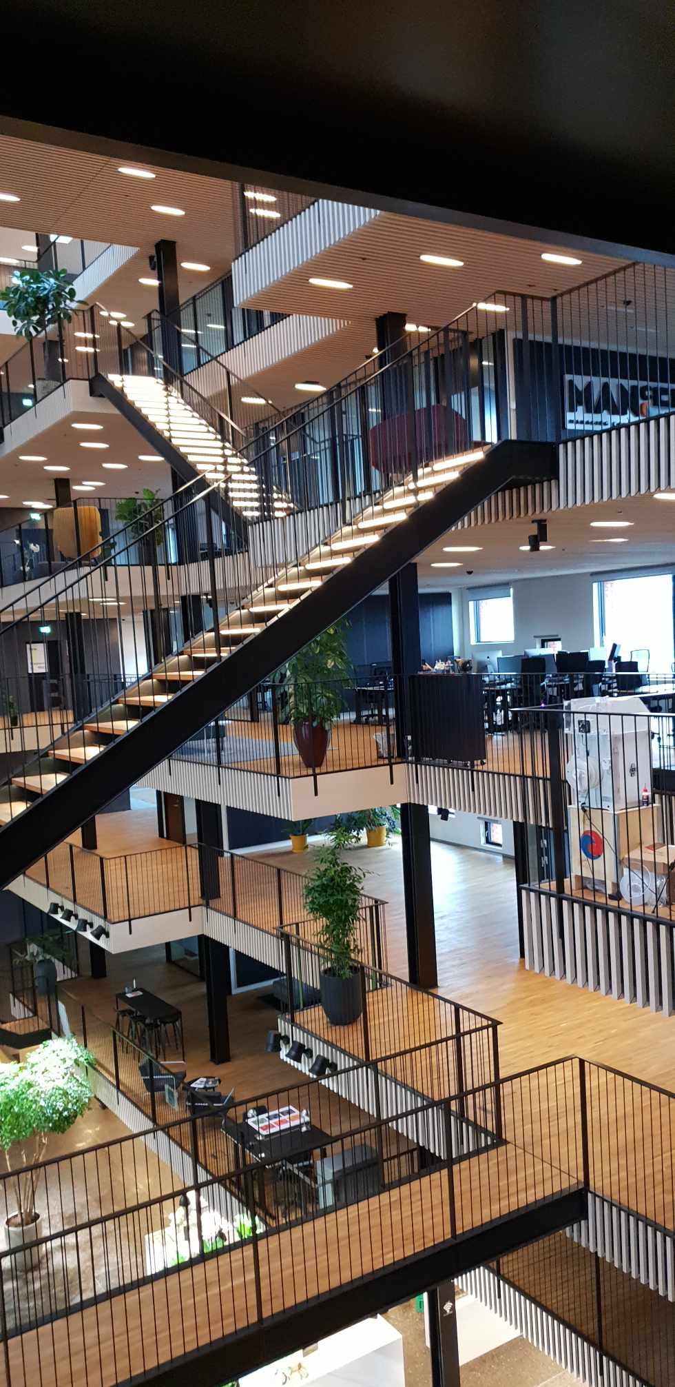 Wielopoziomowe, jasne biuro z drewnianą podłogą, czarnymi schodami i balustradami, licznymi roślinami doniczkowymi i oświetleniem punktowym.