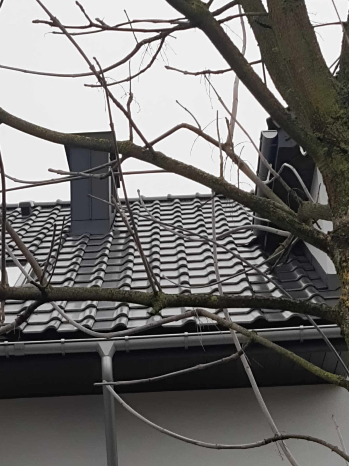 Ceramika Koramic Allegra