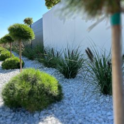 Zakładanie ogrodów Bieliny Kapitulne 4