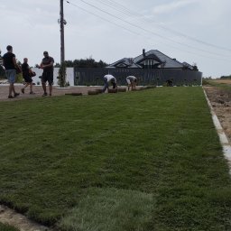 SMART GARDEN Michał Skrzyniarz - Układanie trawy z rolki na przygotowanym terenie przed domem z ciemną elewacją i ogrodzeniem, widoczni pracownicy podczas rozwijania i dopasowywania rolek trawy.