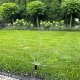 SMART GARDEN Michał Skrzyniarz - Zraszacz automatyczny nawadnia równomiernie zielony trawnik, w tle ozdobne drzewa i krzewy kwitnące na biało, obrzeże trawnika wykończone kamieniami.