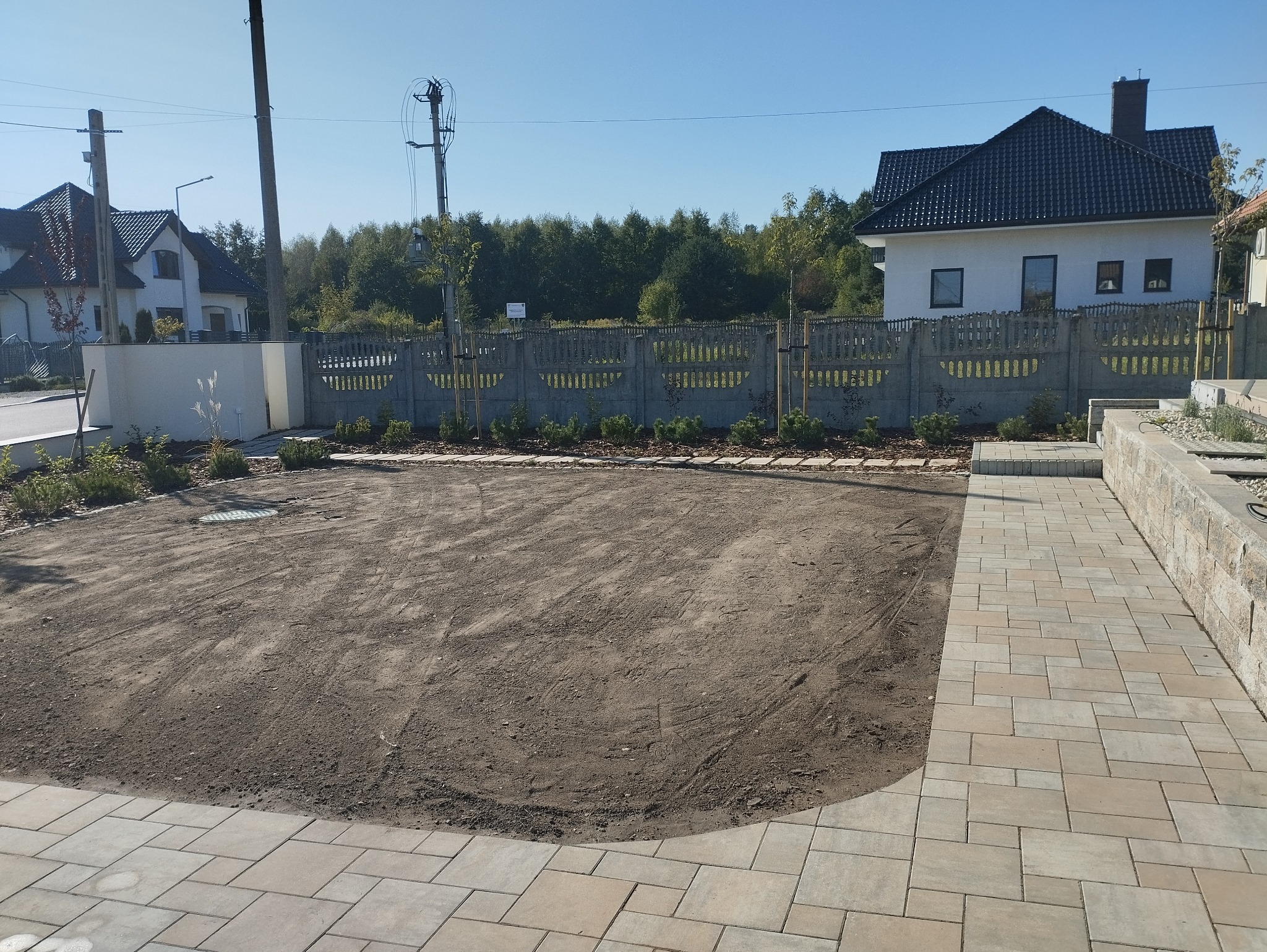 Przygotowany teren pod przyszły trawnik, widoczne obrzeża z kostki brukowej, świeżo posadzone niskie rośliny ozdobne, w tle domy jednorodzinne i betonowe ogrodzenie.