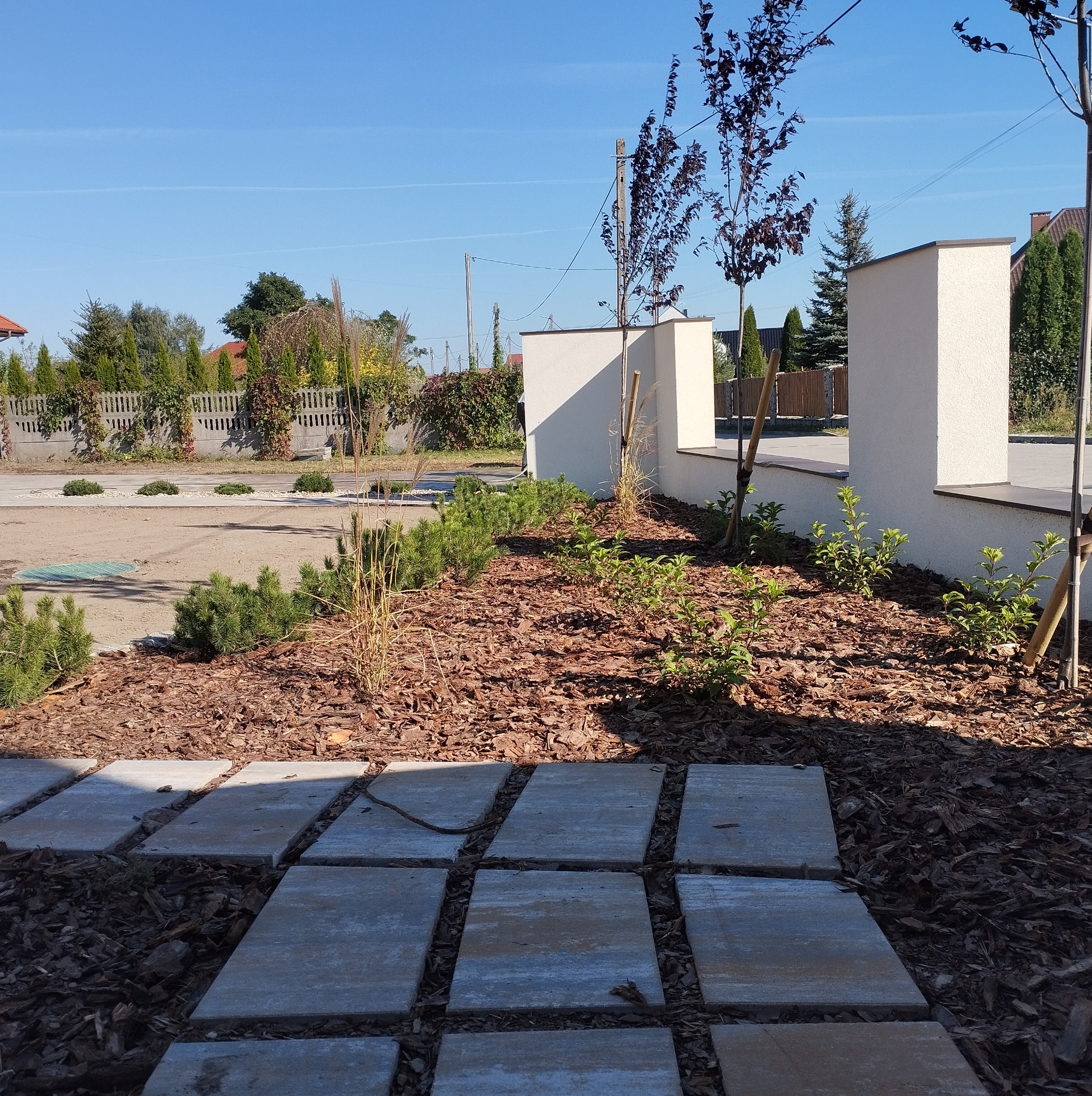 Ścieżka z płyt betonowych prowadząca przez rabatę z korą, młodymi drzewkami i krzewami, w tle ogrodzenie i budynki mieszkalne