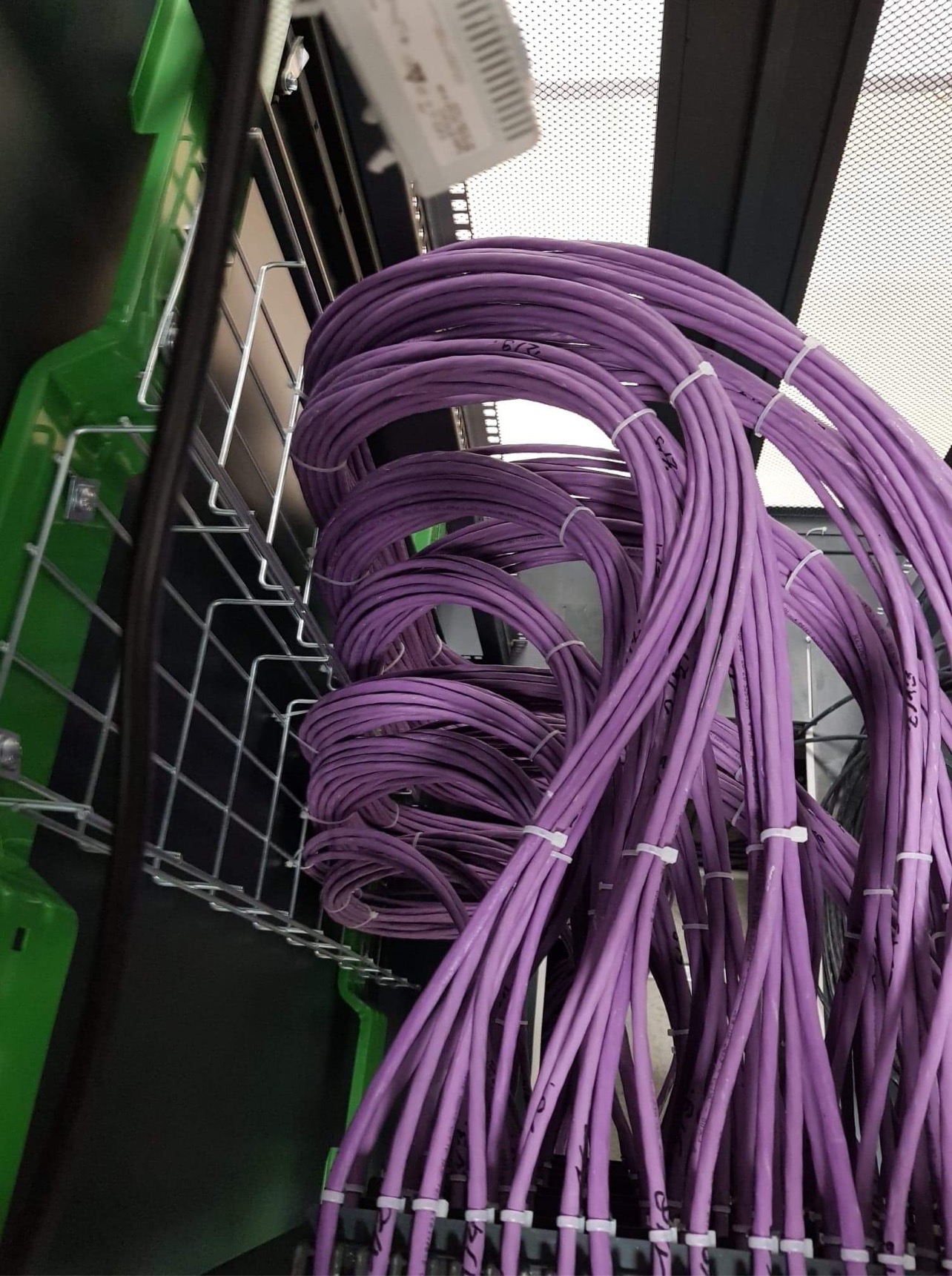 Pętle fioletowych kabli sieciowych uporządkowane w metalowej korycie kablowej z zielonym elementem, spięte białymi opaskami zaciskowymi, widoczne oznaczenia na kablach.
