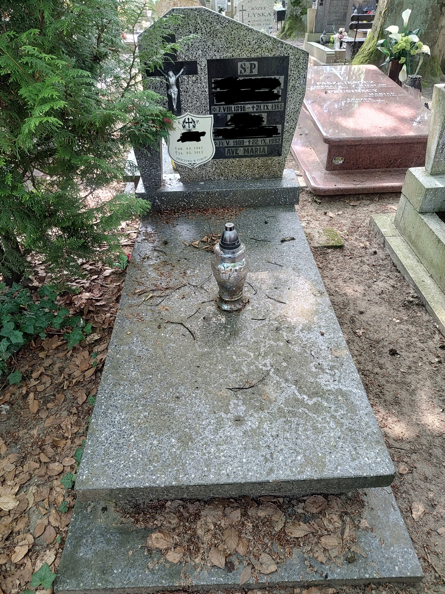 Szary nagrobek z granitową płytą, zarośnięty bluszczem i iglakami, z metalowym lampionem na płycie, otoczony opadłymi liśćmi.