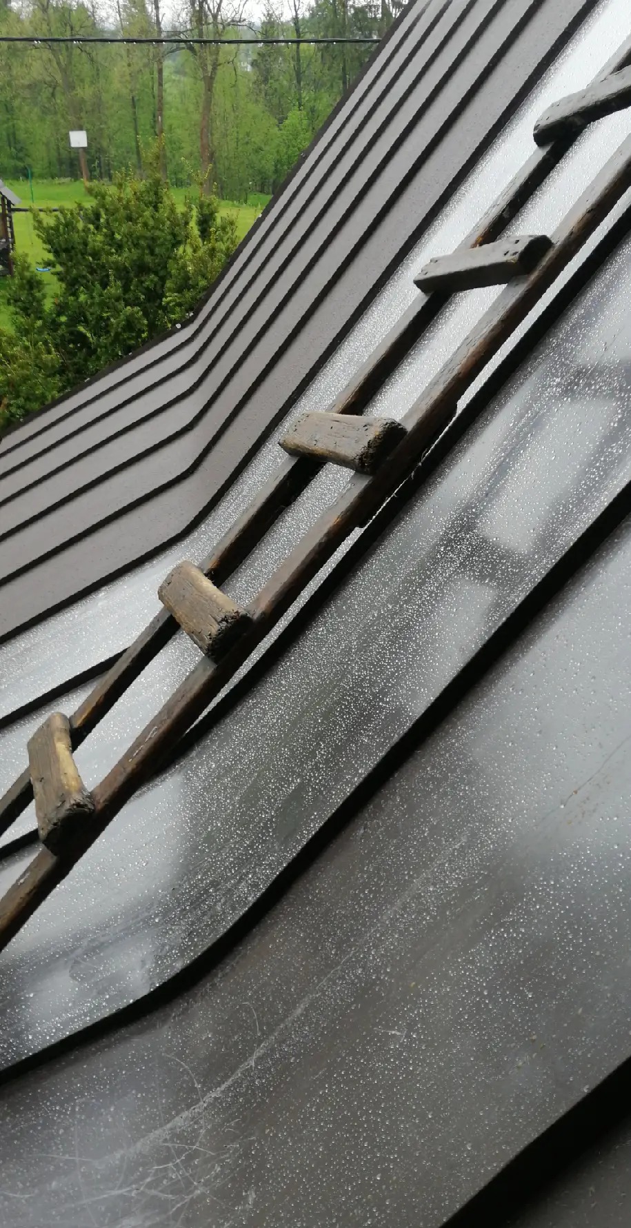 Metalowy dach pokryty kroplami deszczu z przymocowaną drewnianą drabiną dekarską, widok z góry na tle zieleni.