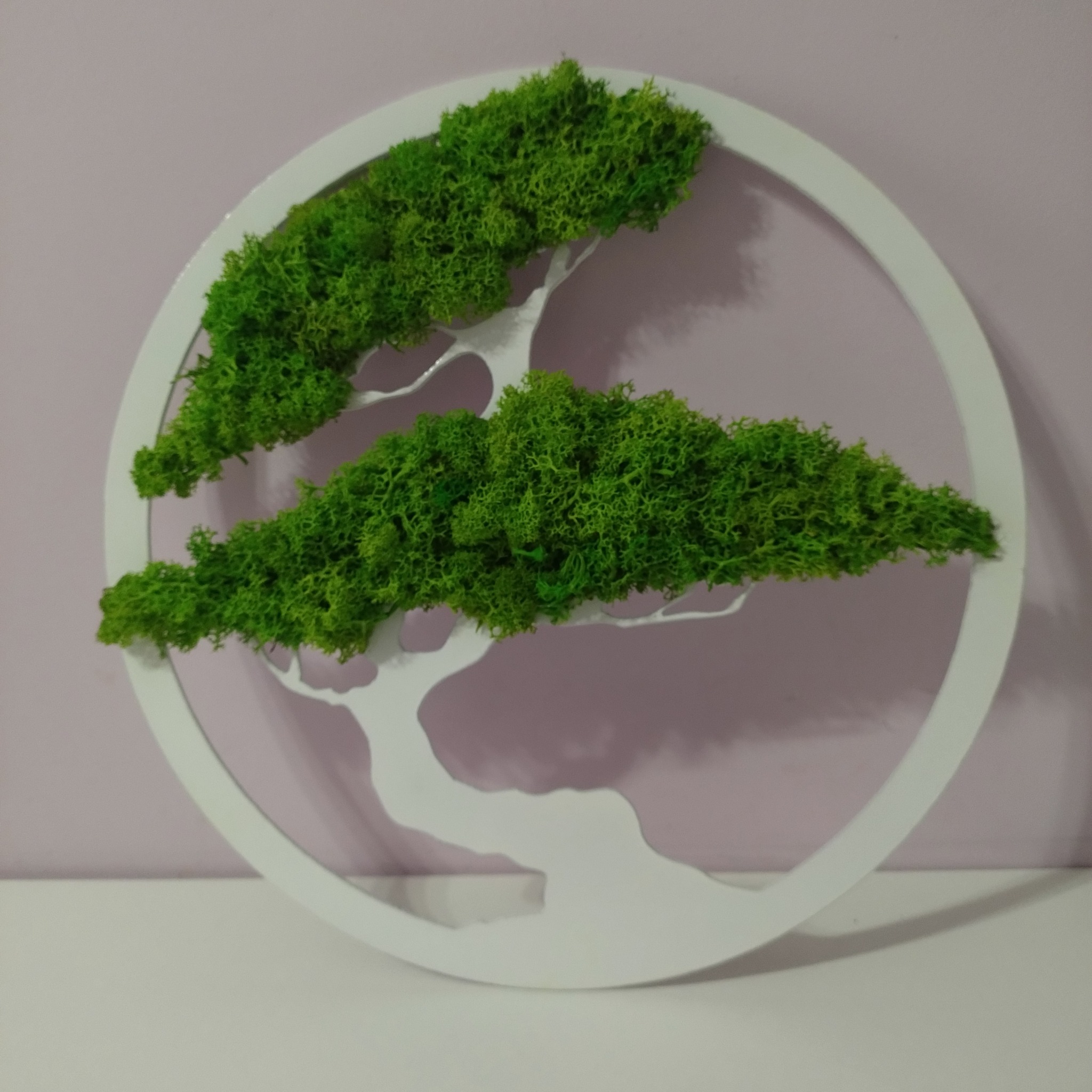 Dekoracja ścienna z mchu reniferowego w białej, okrągłej ramie z motywem drzewa bonsai.