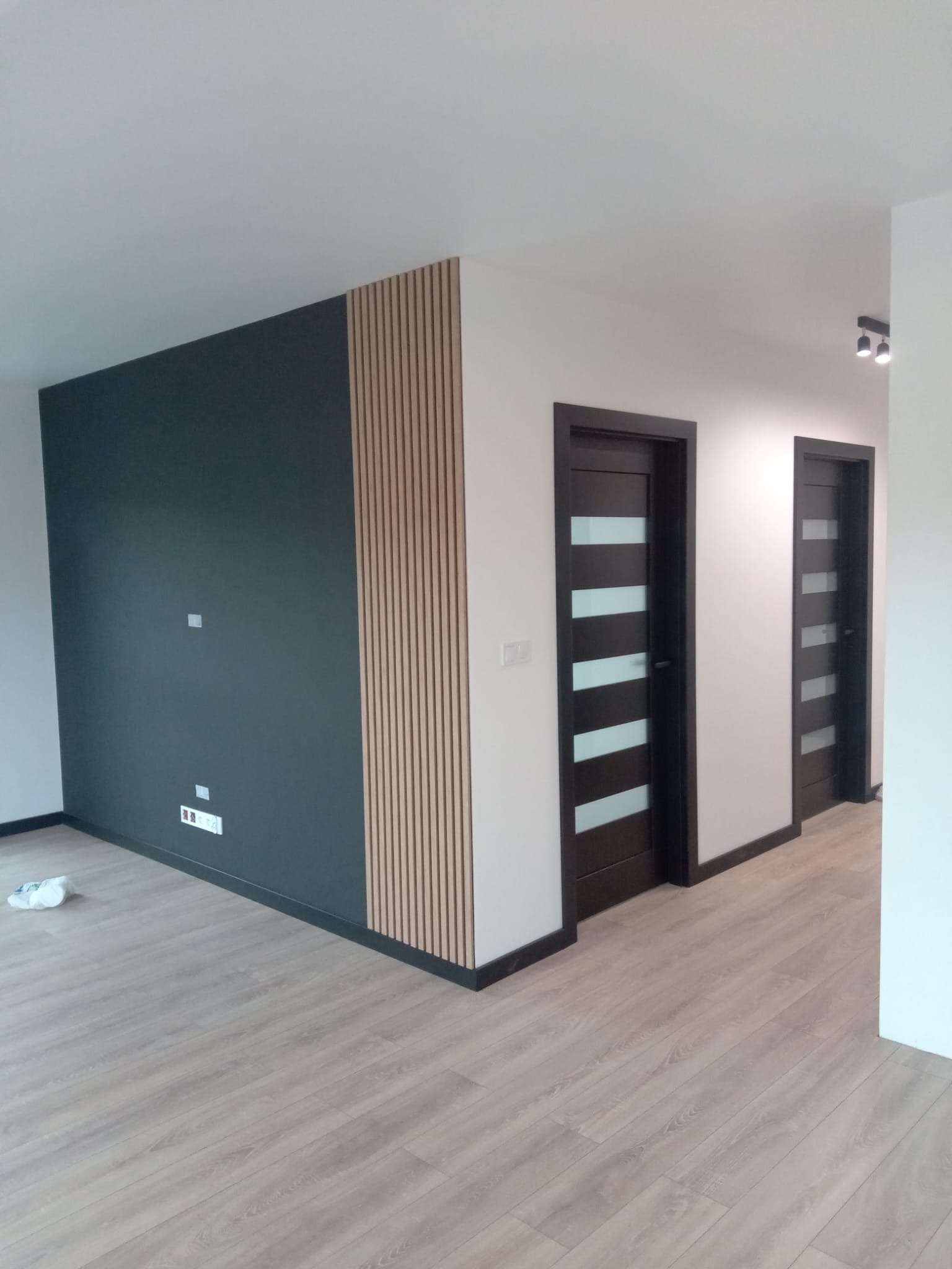 Nowoczesne wnętrze z ciemną ścianą, drewnianymi lamelami, dwiema ciemnymi drzwiami z przeszkleniami i jasną podłogą z paneli.