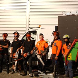 Zakładanie ogrodów Kraków 2