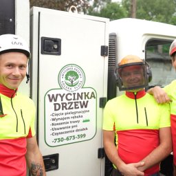 Polska Flora Sp. z.o.o - Trzech uśmiechniętych mężczyzn w odzieży roboczej stoi przed samochodem z logo firmy zajmującej się wycinką drzew, widoczny numer telefonu i zakres usług.