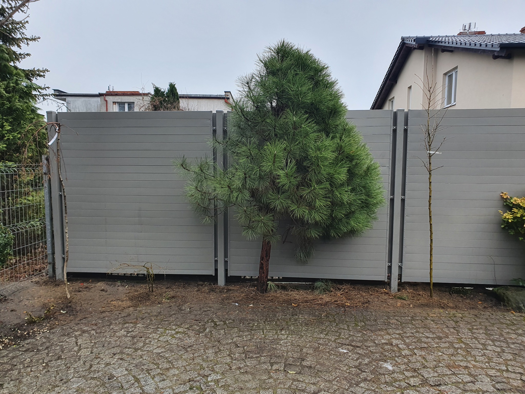 Szary panelowy płot z poziomych desek, za którym widać dom, a przed nim rośnie mała sosna i drzewko bez liści.