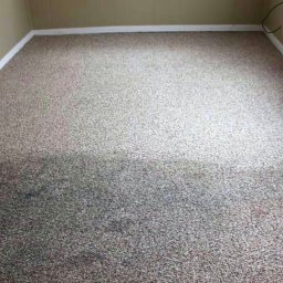 Kostiantyn Kalymaha - Dywan z wyraźną różnicą w kolorze, ukazującą efekt czyszczenia, w rogu widoczne listwy przypodłogowe i gniazdko elektryczne.