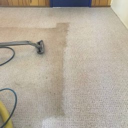 Kostiantyn Kalymaha - Fragment dywanu z widoczną różnicą w czystości po użyciu odkurzacza piorącego z żółtym wężem. Część dywanu jest wyraźnie jaśniejsza.