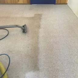 Fragment dywanu z widoczną r&oacute;żnicą w czystości po użyciu odkurzacza piorącego z ż&oacute;łtym wężem. Część dywanu jest wyraźnie jaśniejsza.