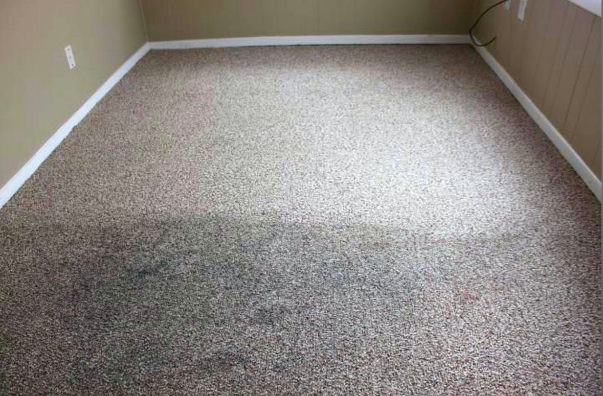 Dywan z wyraźną różnicą w kolorze, ukazującą efekt czyszczenia, w rogu widoczne listwy przypodłogowe i gniazdko elektryczne.