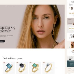 Tworzenie stron internetowych Wolsztyn 3