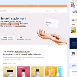 Tworzenie stron internetowych Wolsztyn 2