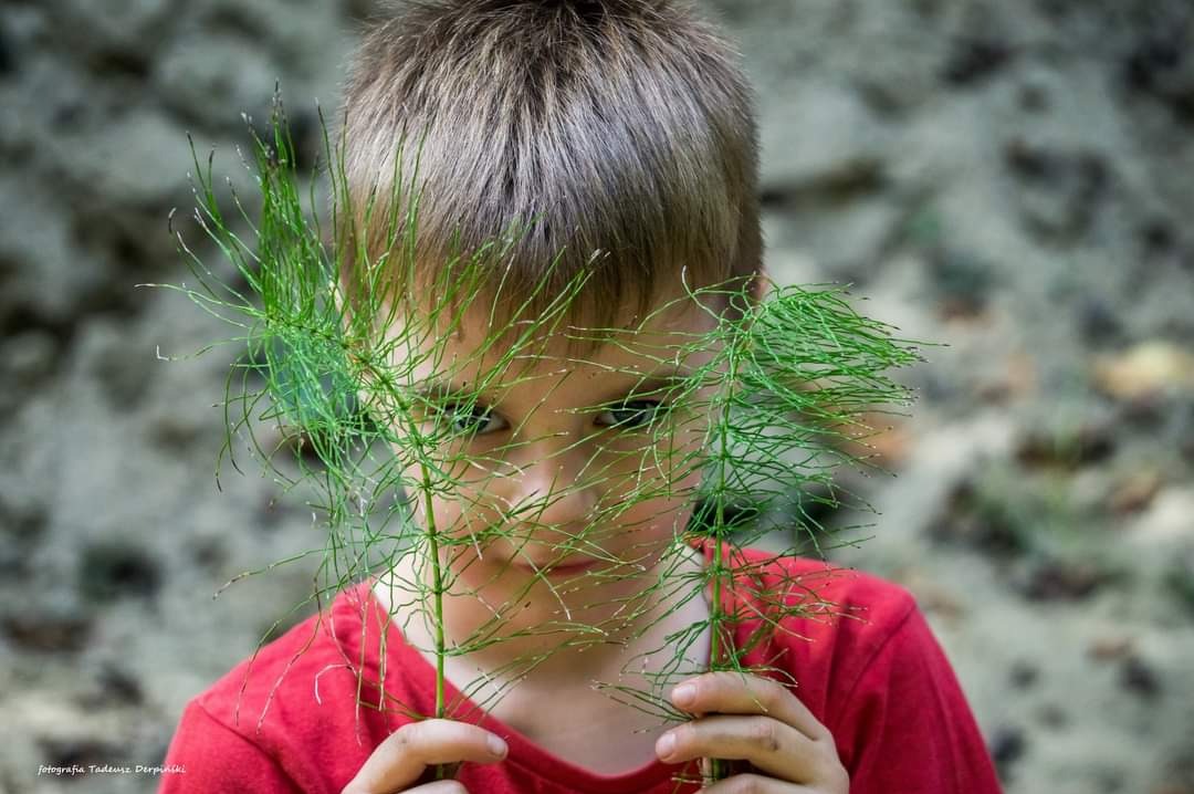 Portret młodego chłopca w czerwonej koszulce, trzymającego dwie gałązki skrzypu polnego przed twarzą, z zamyślonym wyrazem oczu i rozmyte tło z piasku.
