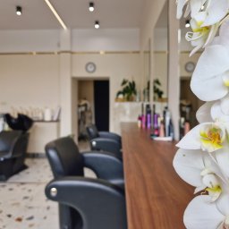 MANAMI Salon Fryzjerski Anna Dębska - Jasne wnętrze salonu z czarnymi fotelami fryzjerskimi i umywalkami w tle, z bliska widoczne białe storczyki na pierwszym planie, drewniany blat i lustra.