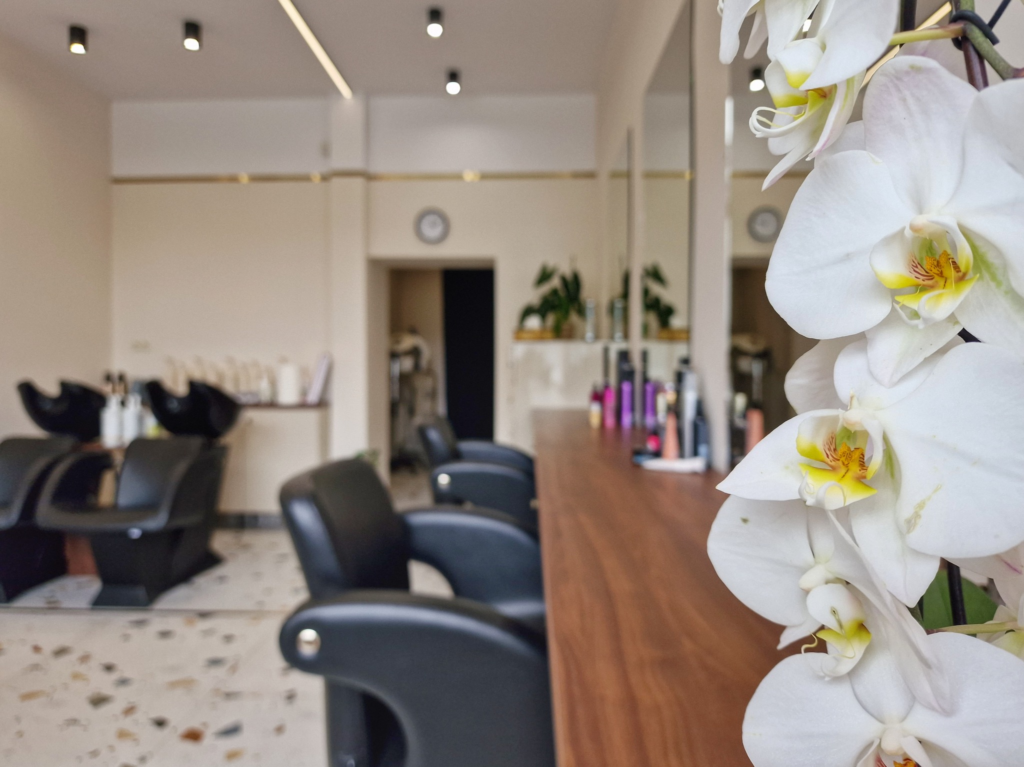 Jasne wnętrze salonu z czarnymi fotelami fryzjerskimi i umywalkami w tle, z bliska widoczne białe storczyki na pierwszym planie, drewniany blat i lustra.