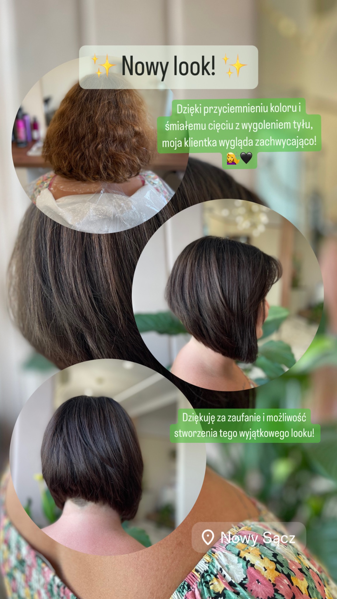 Kolaż przedstawiający metamorfozę fryzury: od brązowych włosów przed koloryzacją do ciemnobrązowego boba z wygolonym karkiem, widoczne z tyłu i z profilu, z roślinnym tłem.