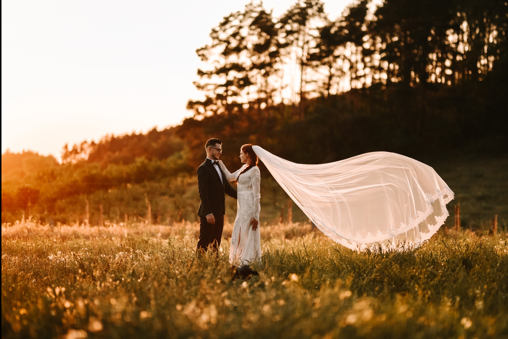 Para młoda w plenerze o zachodzie słońca; panna młoda w koronkowej sukni z długim welonem powiewającym na wietrze, pan młody w czarnym garniturze z muszką, oboje stoją na łące z wysoką trawą, w tle...
